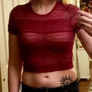Maroon Lacy Crop Top